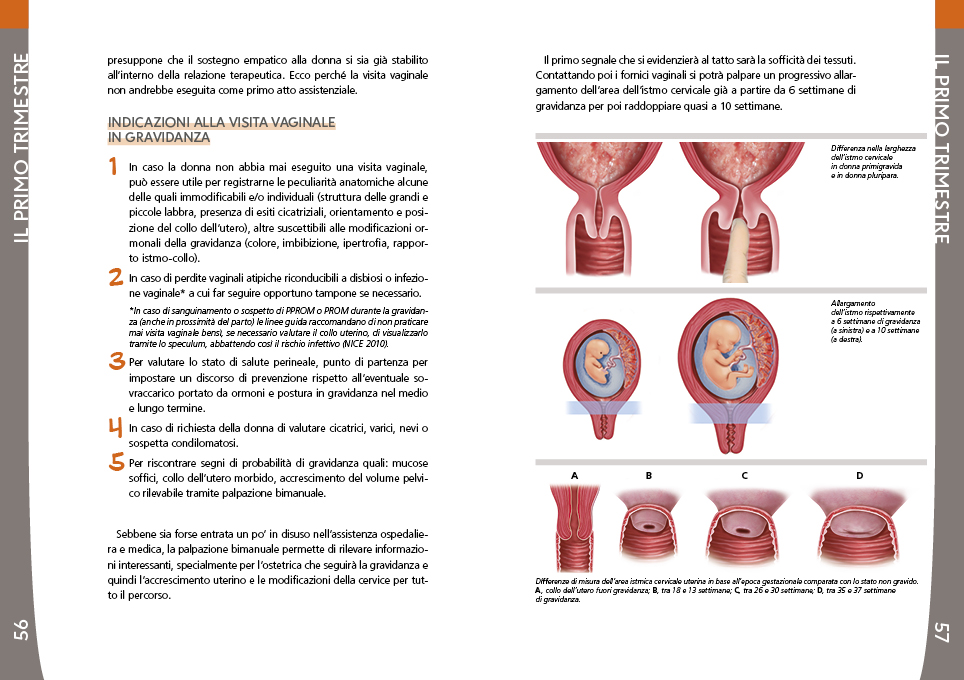 02-SEAO-Lettura esami IMPAGINATO 1°TRIM9